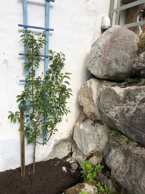 Villa Alte Muehle Mit Wunderbarem Bergblick Ramsau bei Berchtesgaden Exterior foto